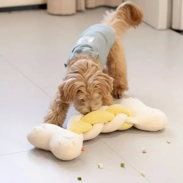 Interactive Twist Bone Shaped Toy
