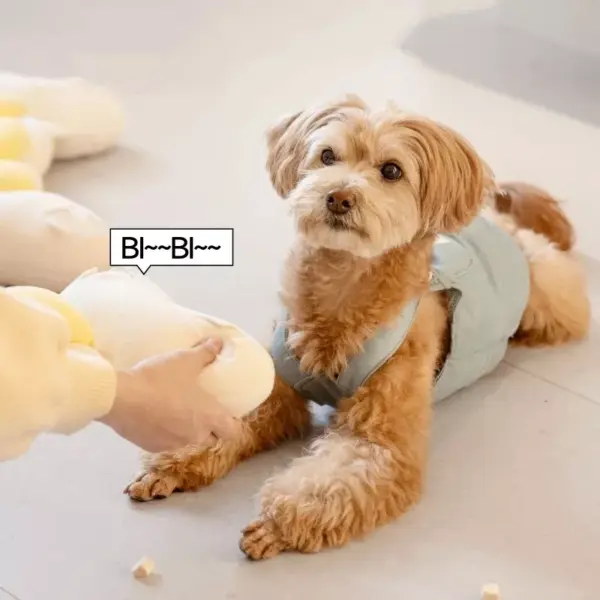 Interactive Twist Bone Shaped Toy