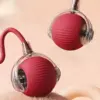 Interactive USB Rechargeable Rolling Ball Toy for Cats