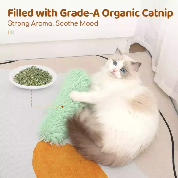 Interactive Catnip Plush Pillow Toy