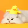 Interactive Flapping Duck Cat Toy