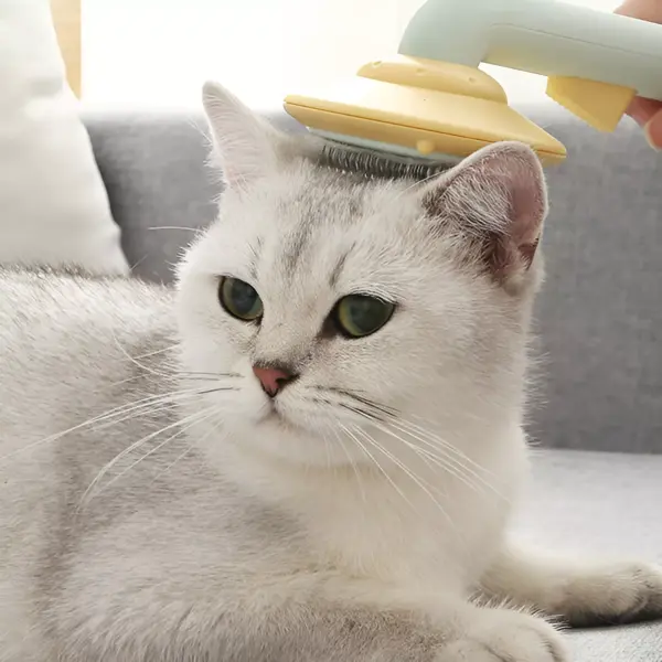 Pet Hair Removal Needle Comb