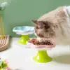 101069-d4bf66.webp Ceramic Cat Bowl