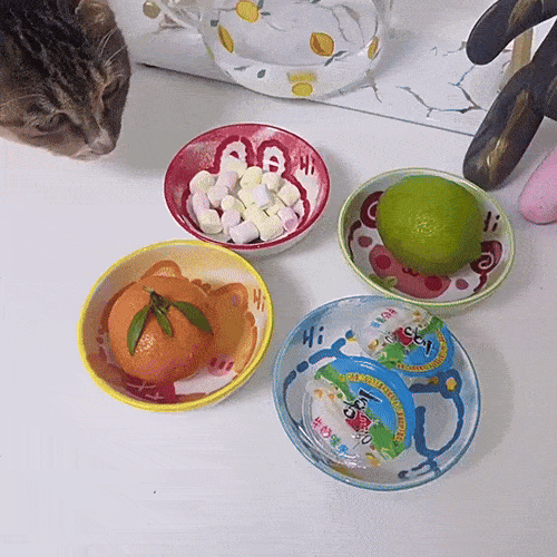 1 Charming Animal Ceramic Dipping Dishes
