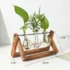 Rustic Wooden Frame Hydroponic Glass Vase