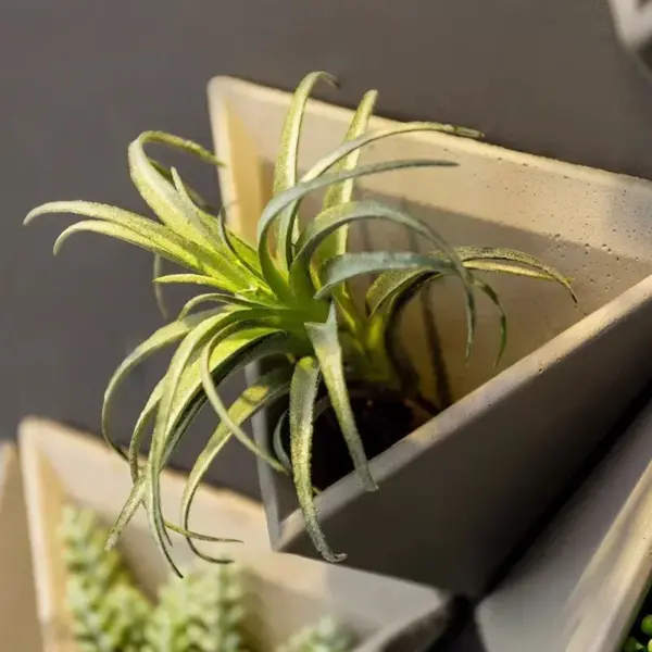 107457-33e3b6.webp Modern Nordic Triangle Wall-Mounted Cement Flowerpot
