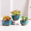 107461-b9aa6a.webp Elegant Glazed Ceramic Pots for Succulents and Small Plants