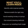 111115-0e597e.webp Fresh Air Fast | Easy Car Smell Removal Guide, Odor Elimination Checklist, Digital Download