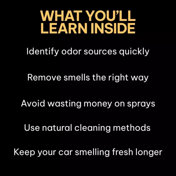 111115-0e597e.webp Fresh Air Fast | Easy Car Smell Removal Guide, Odor Elimination Checklist, Digital Download