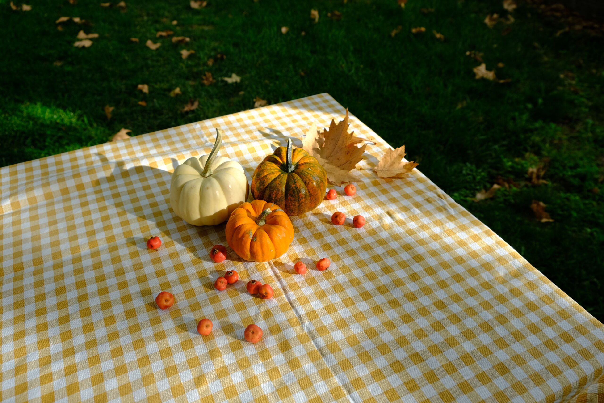 Bohemian Chic Waterproof & Oil-Proof Cotton-Linen Tablecloth with Tassels