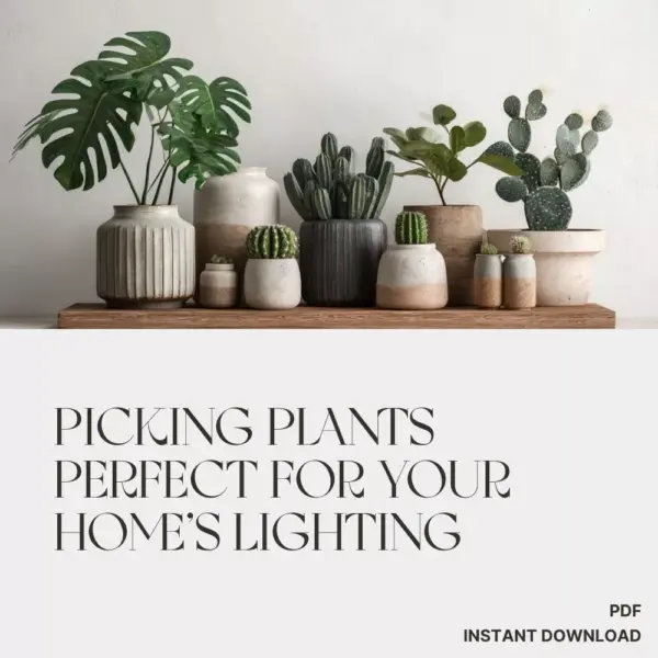 113675-817579.webp Picking Plants Perfect for Your Home’s Lighting | AI Plant Identification Checklist | How to Use AI to Identify Plants for Your Home's Lighting | Indoor Plant Matching Guide for Beginners