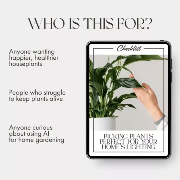 113675-8e8611.webp Picking Plants Perfect for Your Home’s Lighting | AI Plant Identification Checklist | How to Use AI to Identify Plants for Your Home's Lighting | Indoor Plant Matching Guide for Beginners