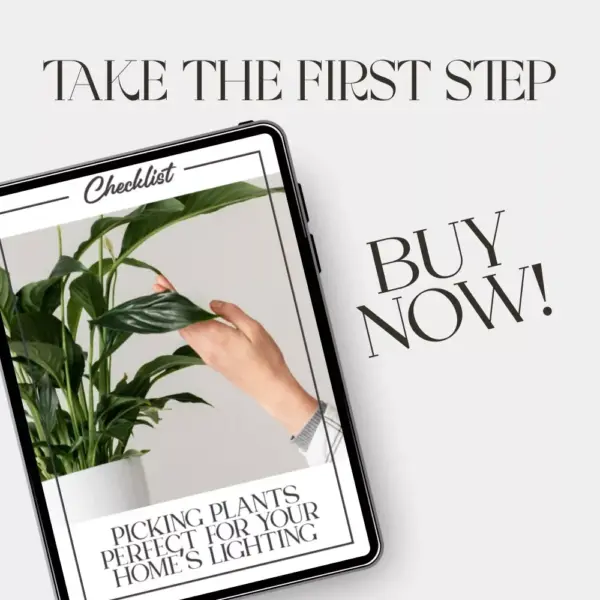 113675-c726d2.webp Picking Plants Perfect for Your Home’s Lighting | AI Plant Identification Checklist | How to Use AI to Identify Plants for Your Home's Lighting | Indoor Plant Matching Guide for Beginners