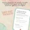 113768-133dcf.webp Toddler Hits or Bites? Your Quick-Action Checklist! | Parenting Guide, Positive Discipline, Gentle Parenting eBook Download